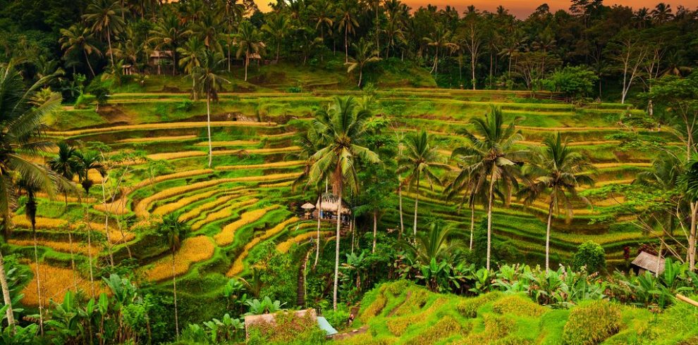 Ubud-Bali