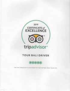 tripadvisor 2019