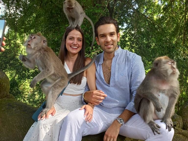 monkey forest