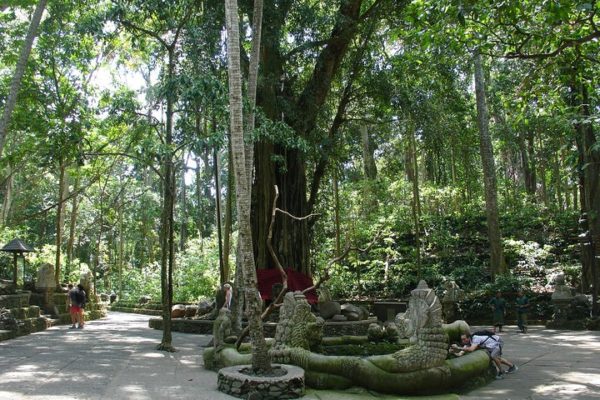 Bali Traditional Village, Volcano And Temple Sightseeing Trip All inclusive - Image 4