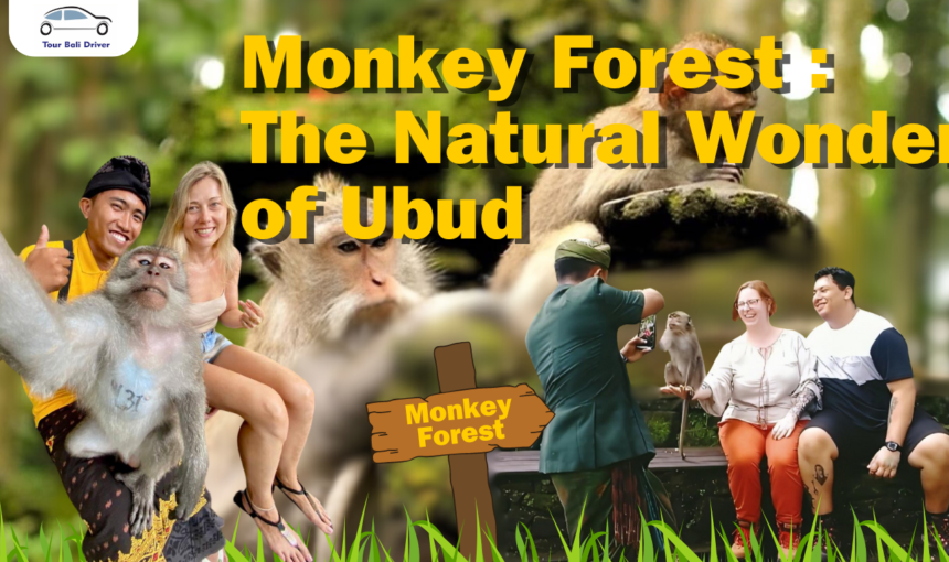 Monkey Forest : The Natural Wonder of Ubud