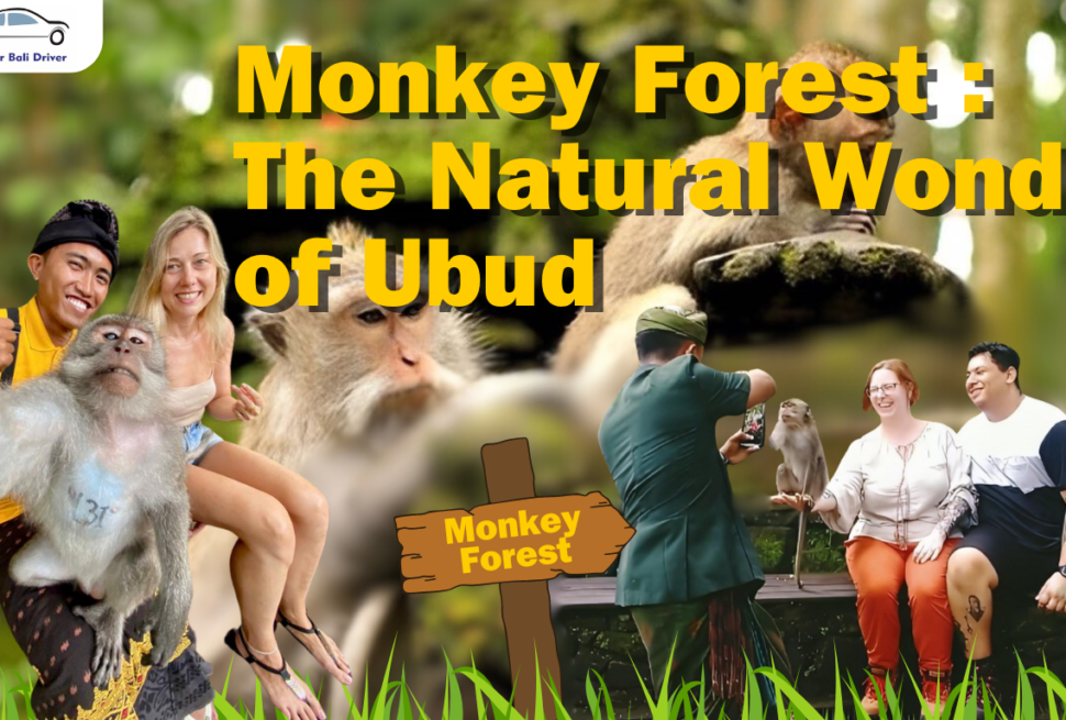 ubud monkey forest