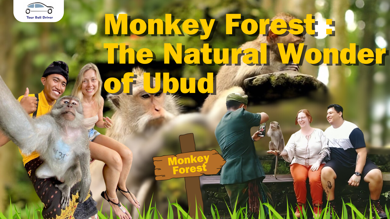 ubud monkey forest